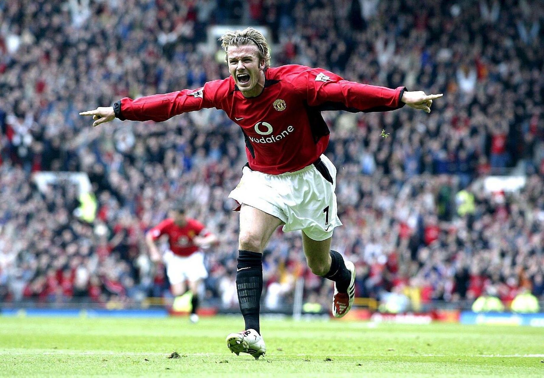 将有助于提 将有助于提